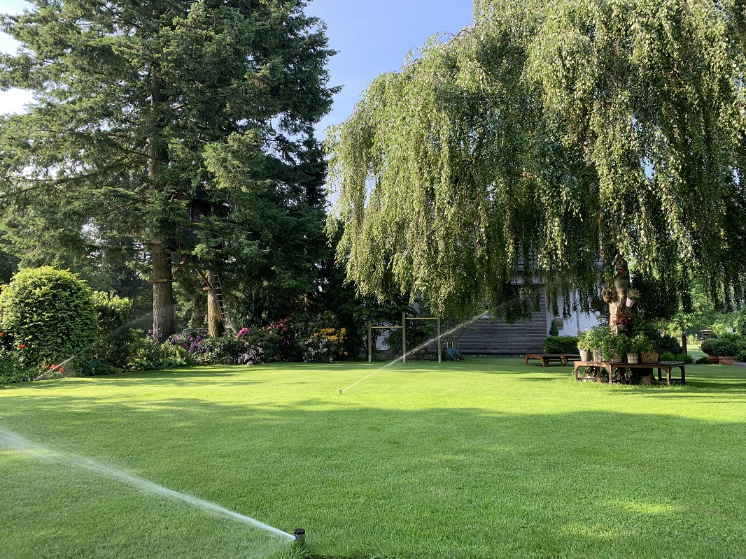 Mit einer automatischen Bewässerungsanlage werden Pflanzen gezielt bewässert. Wir helfen Ihnen bei der Bewässerungsplanung.